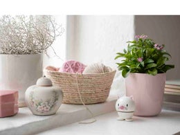 Hoptimist &mdash; Kissa