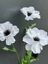 Koristekasvi &mdash; Anemone