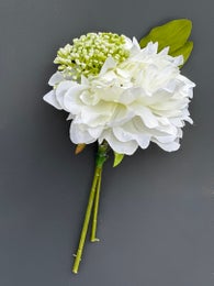 Koristekasvi &mdash; Pionikimppu | Useita vaihtoehtoja