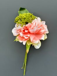 Koristekasvi &mdash; Pionikimppu | Useita vaihtoehtoja