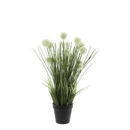 Chic Antique &mdash; Nurmilaukka