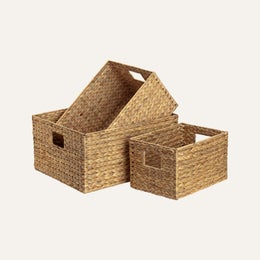 Dixie &mdash; Lily | Vesihyasinttikori