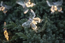 PAPILLON | Valosarja