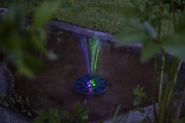 FOUNTAIN |&nbsp;Aurinkokennokoriste