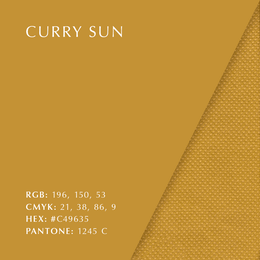 Curry Sun