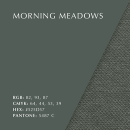Morning Meadows
