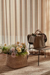 Dixie &mdash; Esther | Kori