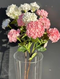 Koristekasvi &mdash; Lumipalloheisi | Useita vaihtoehtoja