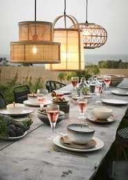 Madam Stoltz &mdash; Rottinkivalaisin