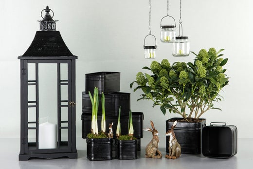 Metalliruukut | 2-setti