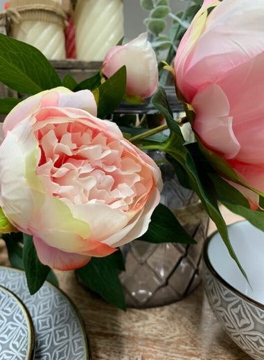 Koristekasvi &mdash; Pioni | Pinkki