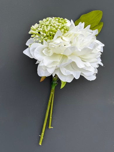 Koristekasvi &mdash; Pionikimppu | Useita vaihtoehtoja