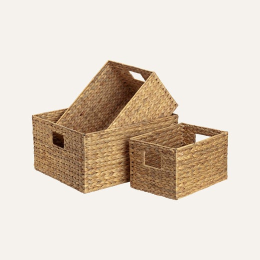 Dixie &mdash; Lily | Vesihyasinttikori