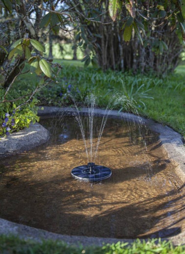 FOUNTAIN |&nbsp;Aurinkokennokoriste