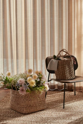 Dixie &mdash; Esther | Kori