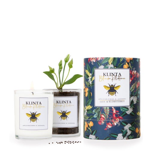 Appelsiinikukka & Laventeli