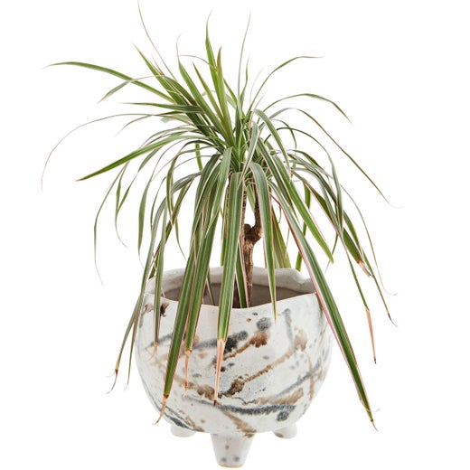 Madam Stoltz &mdash; Ruukku